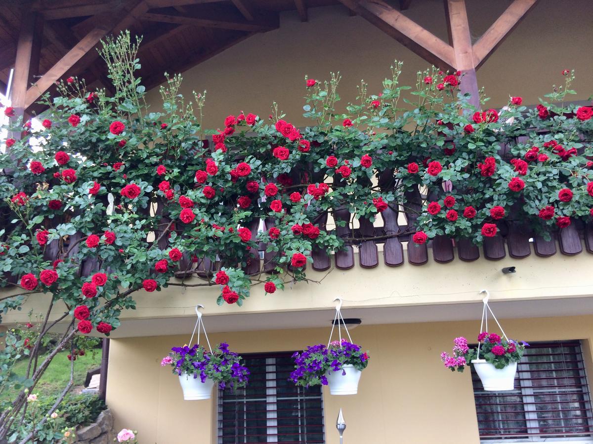 Mona'S Sleep & Go Bed & Breakfast Buren  Exterior foto