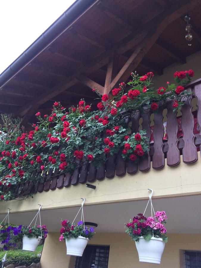 Mona'S Sleep & Go Bed & Breakfast Buren  Exterior foto